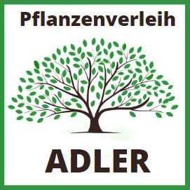 (c) Pflanzenverleih-adler.de